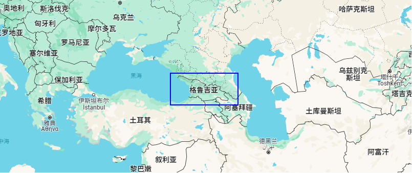 格魯吉亞各領(lǐng)域國際合作交流會議，公信榮幸助力其中